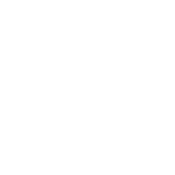 Web Research
